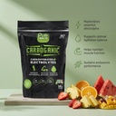 CarboGanic Fruit Punch — 2