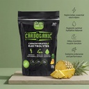 CarboGanic Pineapple — 2