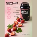Whey Ganic Strawberry bits delights — 2