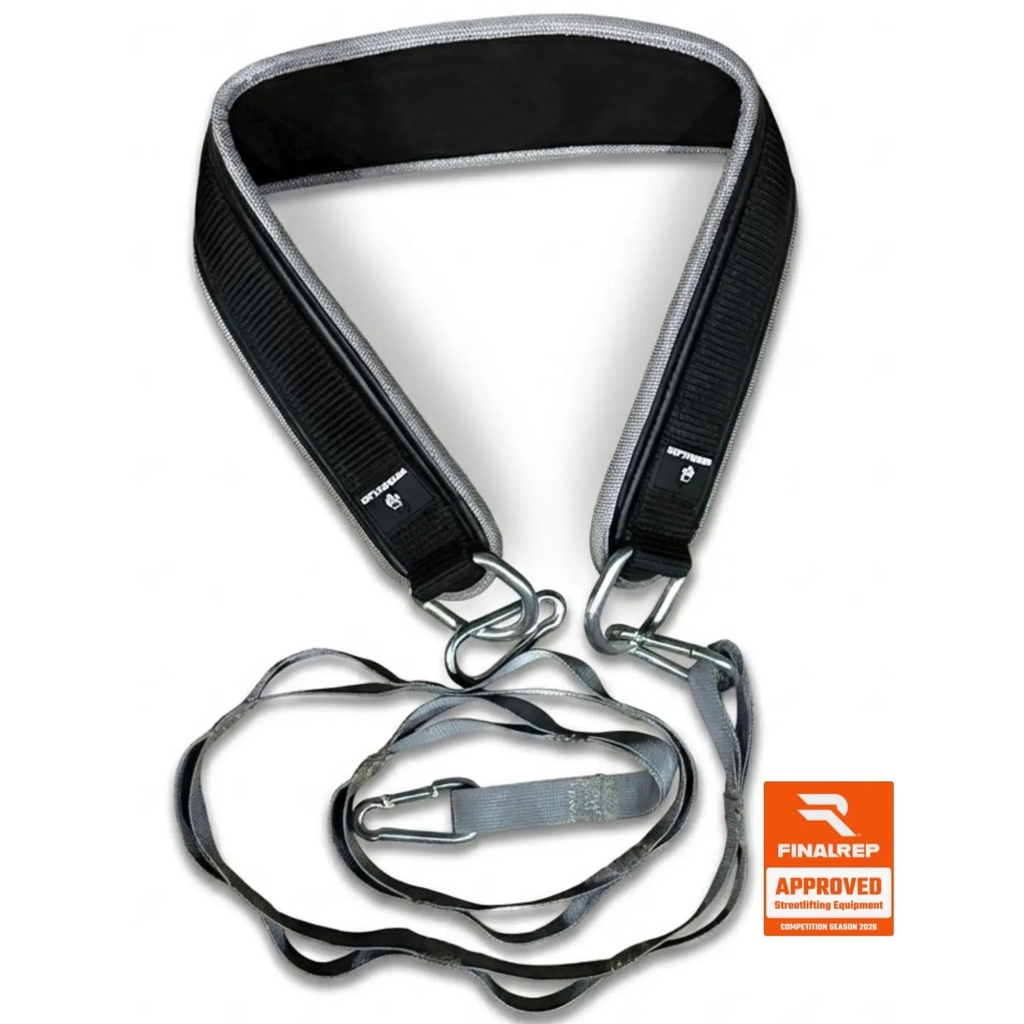 WG Licensed belt
